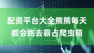配资平台大全熊熊每天都会跑去霸占爬虫箱