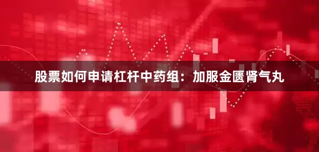 股票如何申请杠杆中药组：加服金匮肾气丸